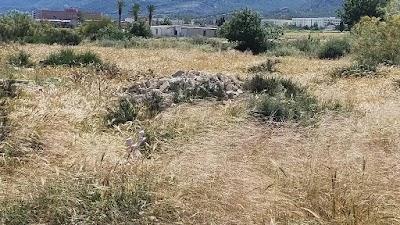 IMG 20250504 113509633