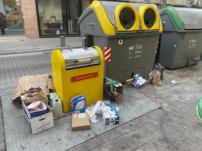 IMG 7929