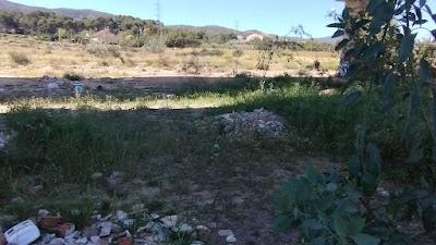 IMG 20250504 114752312