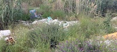 IMG 20250410 183516896