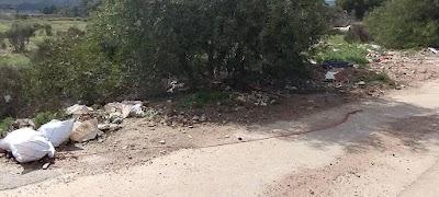 IMG 20250319 120910787