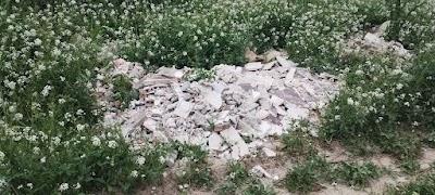 IMG 20250411 151448895