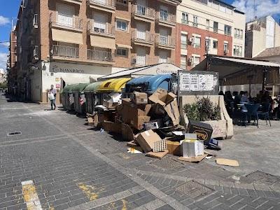 IMG 7417