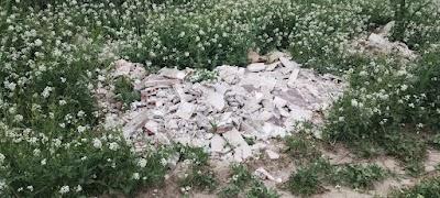 IMG 20250411 151448895(1)