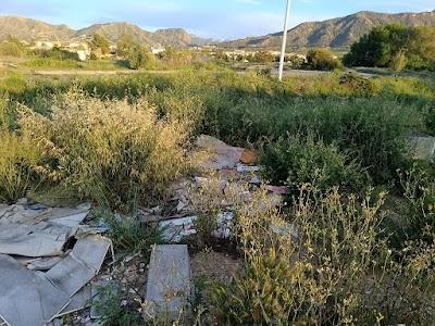 IMG 20250418 201408
